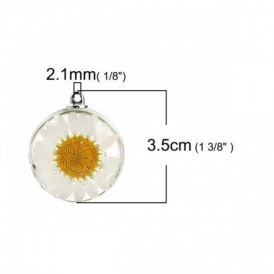 Picture of Glass & Dried Flower Pendants Round Chrysanthemum Flower White Transparent 35mm(1 3/8") x 30mm(1 1/8"), 2 PCs