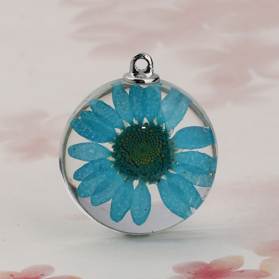 Picture of Glass & Dried Flower Pendants Round Chrysanthemum Flower Lake Blue Transparent 35mm(1 3/8") x 30mm(1 1/8"), 2 PCs