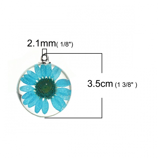 Picture of Glass & Dried Flower Pendants Round Chrysanthemum Flower Lake Blue Transparent 35mm(1 3/8") x 30mm(1 1/8"), 2 PCs