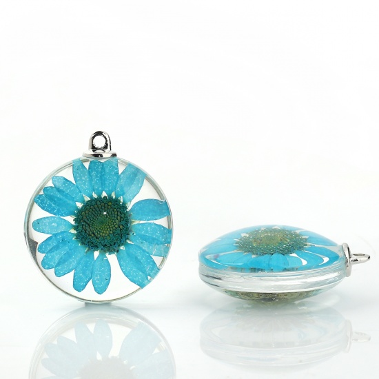 Picture of Glass & Dried Flower Pendants Round Chrysanthemum Flower Lake Blue Transparent 35mm(1 3/8") x 30mm(1 1/8"), 2 PCs