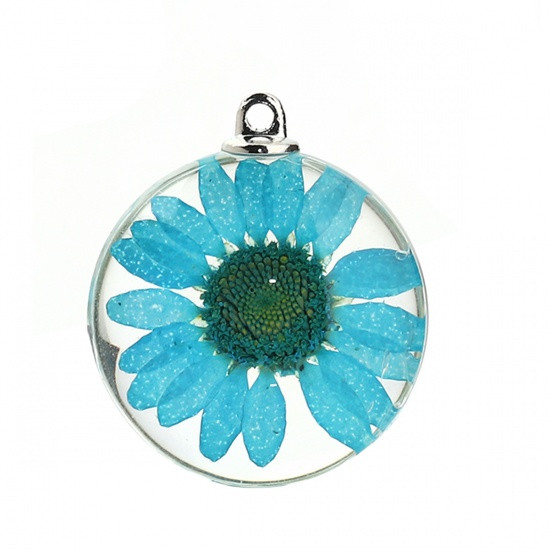 Picture of Glass & Dried Flower Pendants Round Chrysanthemum Flower Lake Blue Transparent 35mm(1 3/8") x 30mm(1 1/8"), 2 PCs