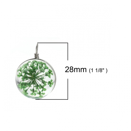 Picture of Glass & Dried Flower Charms Ball Green Transparent 28mm(1 1/8") x 20mm( 6/8"), 2 PCs