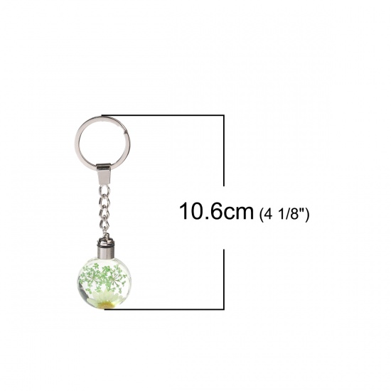 Bild von Glas & Getrockenete Blume Schlüsselkette & Schlüsselring Rund Silberfarbe Grün Transparent LED Leuchten 10.6cm x 3cm, 1 Stück