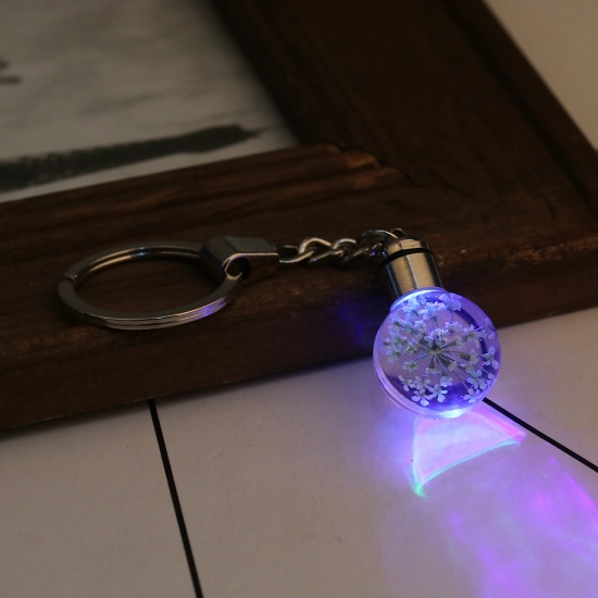 Bild von Glas & Getrockenete Blume Schlüsselkette & Schlüsselring Rund Silberfarbe Hellgrün Transparent LED Leuchten 9.8cm x 3cm, 1 Stück
