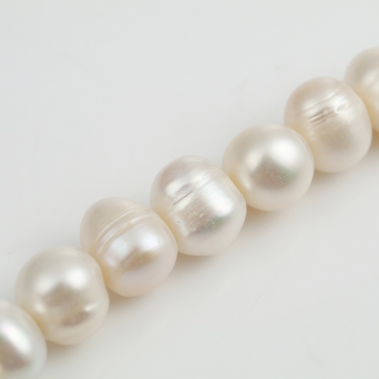 Immagine di Naturale Perle di Acqua Dolce Perline Ovale Bianco Circa 12mm x 11mm, Foro: Circa 0.5mm, 10 Pz