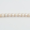 Imagen de Natural Perlas de Agua Dulce Cuentas Ronda Blanco Aprox 10mm, Agujero: Aprox 0.5mm, 10 Unidades