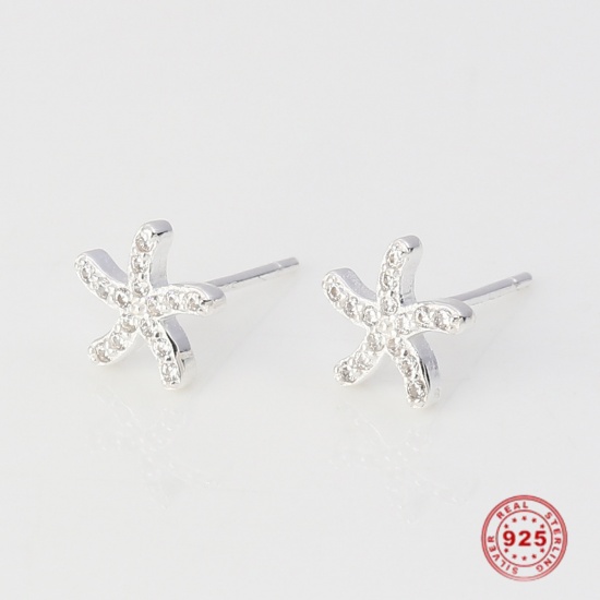 Picture of Sterling Silver Ocean Jewelry Ear Post Stud Earrings Silver Star Fish Clear Rhinestone 8mm x 8mm, Post/ Wire Size: (21 gauge), 1 Pair