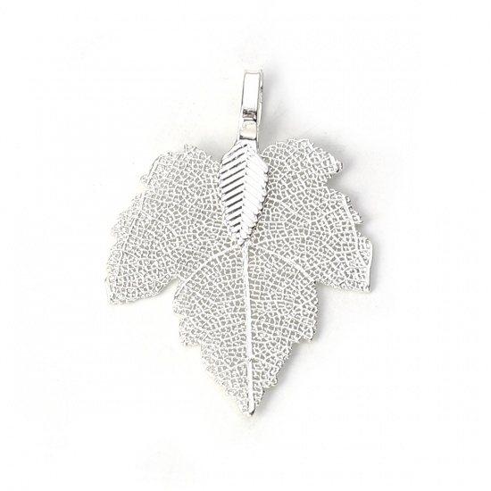 Picture of Brass Pendants Maple Leaf Silver Plated 36mm x28mm(1 3/8" x1 1/8") - 34mm x27mm(1 3/8" x1 1/8"), 2 PCs                                                                                                                                                        