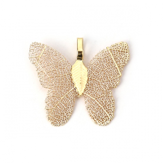 Picture of Brass Pendants Butterfly Animal Champagne Gold 31mm x28mm(1 2/8" x1 1/8") - 30mm x26mm(1 1/8" x1"), 2 PCs                                                                                                                                                     