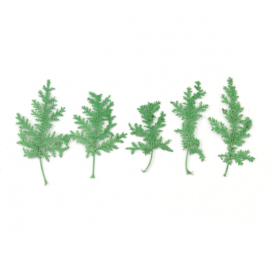 Image de Outils de Bijoux en Résine en Feuille Naturelle au Hasard Vert 7.8cm x 5.2cm - 4.5cm x2.8cm, 1 Paquet (10 Pcs/Paquet)