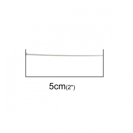 Imagen de 304 Acero Inoxidable Pinchos Tono de Plata 5cm longitud, 0.7mm (21 gauge), 100 Unidades
