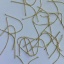 Picture of 304 Stainless Steel Head Pins Gold Plated 5cm(2") long, 0.7mm (21 gauge), 30 PCs