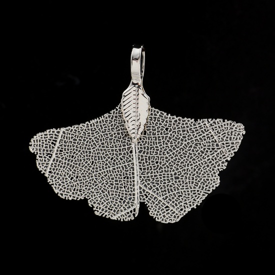 Imagen de Latón & Hoja Natural Colgantes Hoja de Ginkgo Argentado 40mm x 34mm, 2 Unidades
