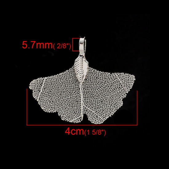 Imagen de Latón & Hoja Natural Colgantes Hoja de Ginkgo Argentado 40mm x 34mm, 2 Unidades