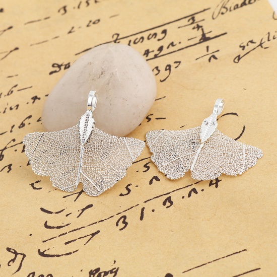 Imagen de Latón & Hoja Natural Colgantes Hoja de Ginkgo Argentado 40mm x 34mm, 2 Unidades