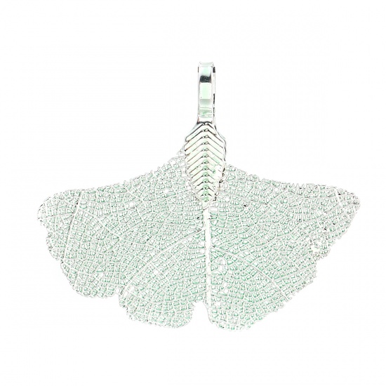 Imagen de Latón & Hoja Natural Colgantes Hoja de Ginkgo Verde 40mm x 34mm, 2 Unidades