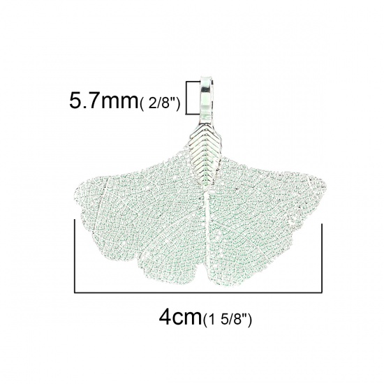 Imagen de Latón & Hoja Natural Colgantes Hoja de Ginkgo Verde 40mm x 34mm, 2 Unidades