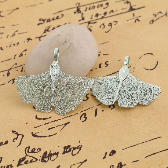 Imagen de Latón & Hoja Natural Colgantes Hoja de Ginkgo Verde 40mm x 34mm, 2 Unidades