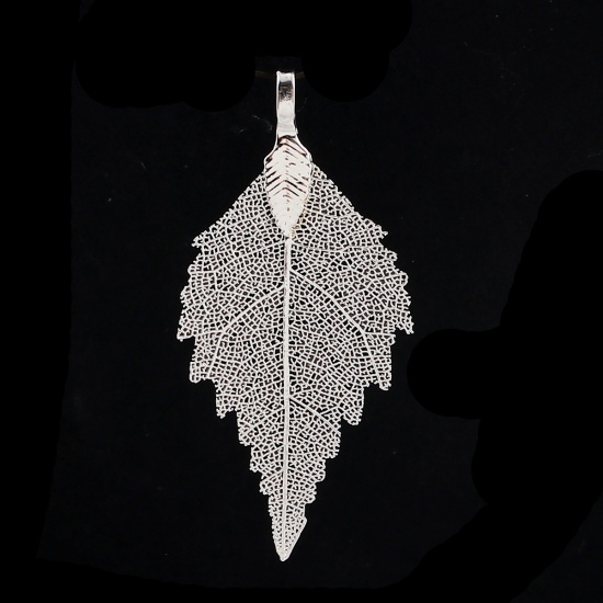 Picture of Brass & Natural Leaf Pendants Silver Plated 59mm(2 3/8") x 26mm(1"), 2 PCs                                                                                                                                                                                    