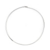 Изображение 304 Нержавеющая Сталь Ожерелье-чокер Серебряный Тон 45.3см Длина, 1 ШТ