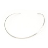 Image de Collier Tour de Cou en 304 Acier Inoxydable Argent Mat 38cm Long, 1 Pièce