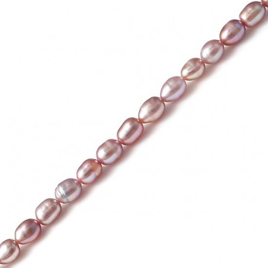 Image de ( Naturel ) Perle de Culture Perles Ovale Violet, 8mm x 7mm - 7mm x 6mm, 36cm Long, 5 Enfilades (Env. 50 Pcs/Enfilade)