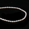 Image de ( Naturel ) Perle de Culture Perles Ovale Blanc, 6.5mm x 5mm - 6mm x 5mm, 36cm Long, 5 Enfilades (Env. 75 Pcs/Enfilade)