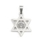 Immagine di 316 Acciaio inossidabile Ciondoli Stella a Sei Punte Tono Argento Albero 41mm x 26mm, 1 Pz