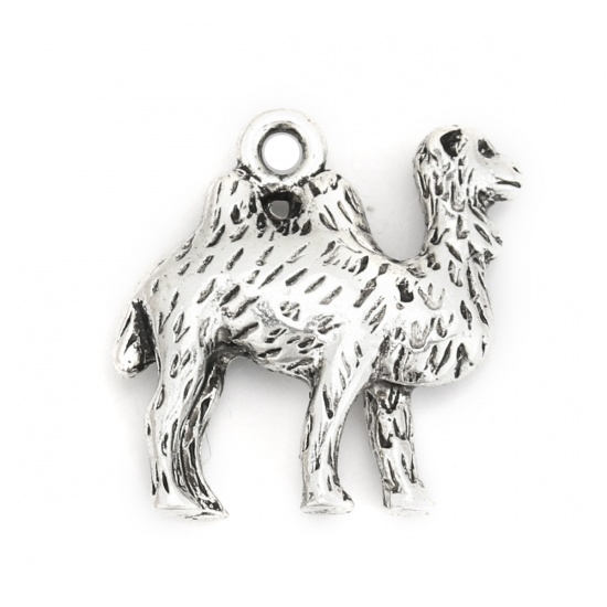 Picture of Zinc Based Alloy 3D Charms Camel Animal Antique Silver Color 19mm x 19mm, 10 PCs