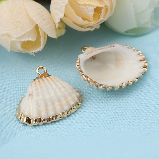 Picture of Natural Shell Charms Gold Plated At Random 26mm x 23mm - 23mm x 20mm, 5 PCs
