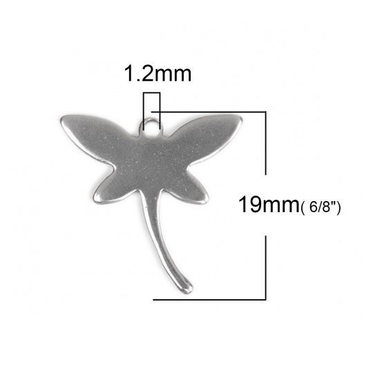 Picture of 304 Stainless Steel Pet Silhouette Chain Tail Extender Charms Dragonfly Animal Silver Tone 19mm x 19mm, 10 PCs