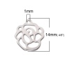 Picture of 304 Stainless Steel Chain Tail Extender Charms Irregular Silver Tone 14mm x 12mm, 10 PCs