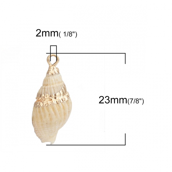 Picture of Shell Charms Conch/ Sea Snail Yellow 23mm x 11mm, 3 PCs