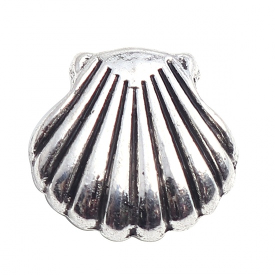 Immagine di Lega di Zinco Gioielli Oceanici Perline Conchiglia Argento Antico Circa 12mm x 12mm, Foro:Circa 3mm, 30 Pz