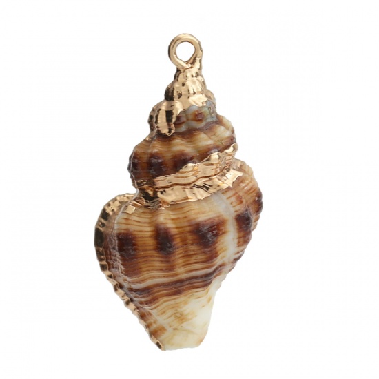 Picture of Natural Shell Ocean Jewelry Charms Gold Plated Conch/ Sea Snail 26mm x 12mm, 3 PCs