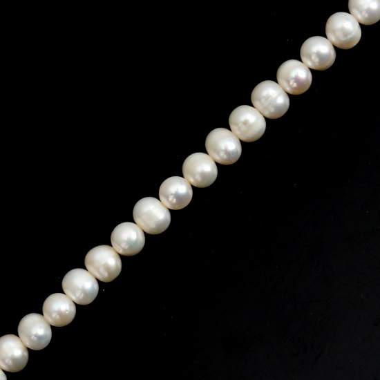 Immagine di Naturale Perle di Acqua Dolce Perline Ovale Bianco Circa 7mm x 6mm, Foro: Circa 1mm, Lunghezza: 36.5cm, 1 Filo (Circa 60 Pz/Treccia)