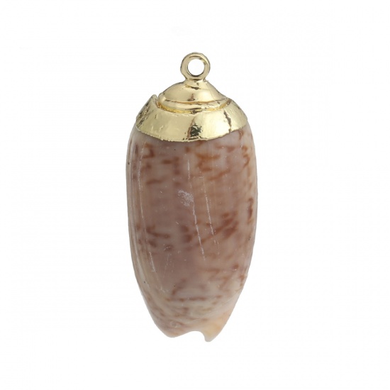 Picture of Natural Shell Pendants Gold Plated Conch/ Sea Snail Khaki 33mm x 16mm - 26mm x 12mm, 5 PCs