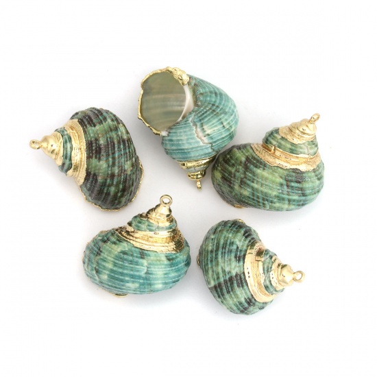 Picture of Natural Shell Pendants Gold Plated Conch/ Sea Snail Green 3.1cm x 2.5cm - 2.5cm x 1.8cm, 5 PCs
