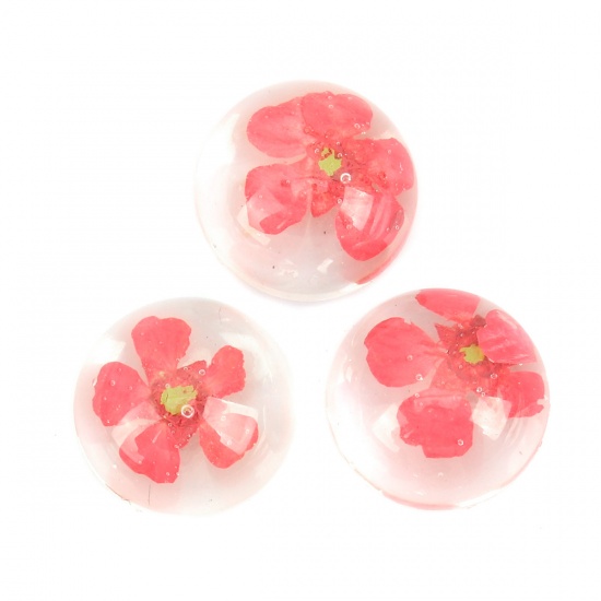 Picture of Resin & Real Dried Flower Dome Seals Cabochon Round Red Transparent 13mm Dia., 10 PCs