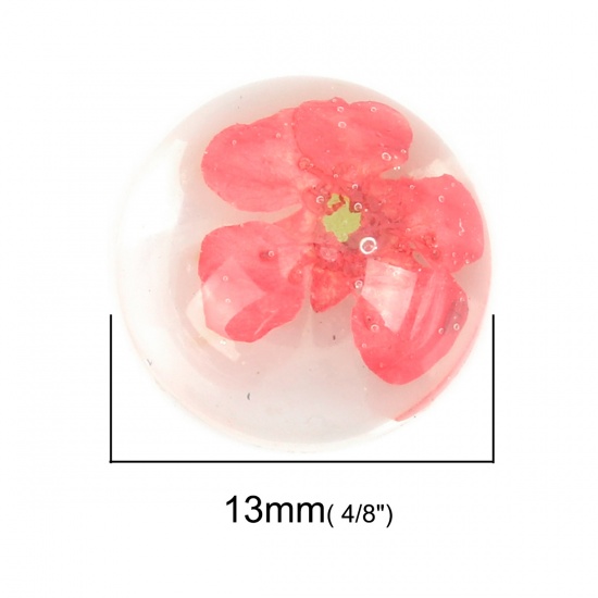 Picture of Resin & Real Dried Flower Dome Seals Cabochon Round Red Transparent 13mm Dia., 10 PCs