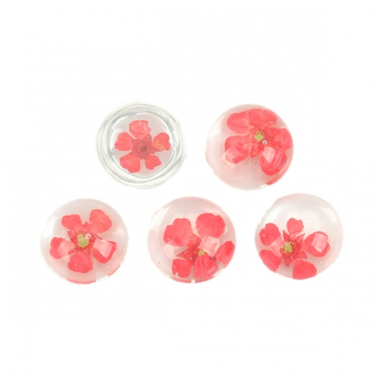 Picture of Resin & Real Dried Flower Dome Seals Cabochon Round Red Transparent 13mm Dia., 10 PCs