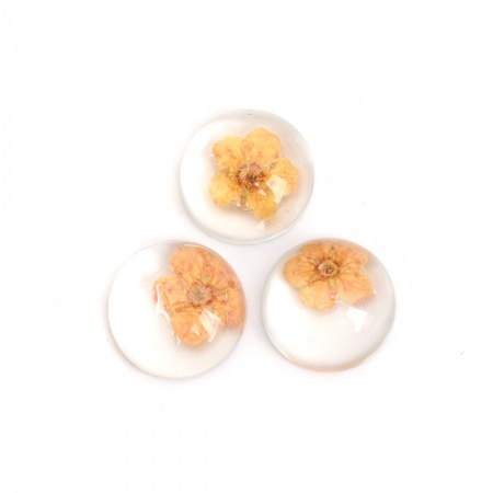 Resin & Real Dried Flower Dome Seals Cabochon Round Orange Transparent 13mm Dia., 10 PCs