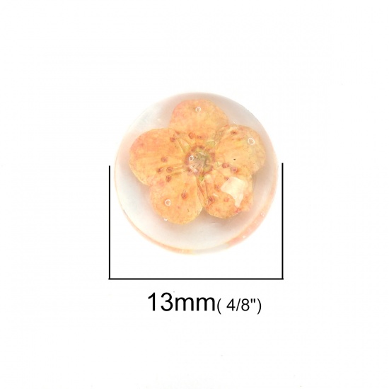 Picture of Resin & Real Dried Flower Dome Seals Cabochon Round Orange Transparent 13mm Dia., 10 PCs