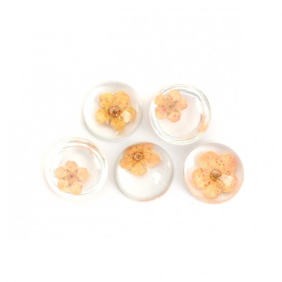 Picture of Resin & Real Dried Flower Dome Seals Cabochon Round Orange Transparent 13mm Dia., 10 PCs