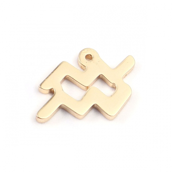 Picture of 304 Stainless Steel Charms 18K Real Gold Plated Aquarius Sign Of Zodiac Constellations 12mm x 8mm, 2 PCs