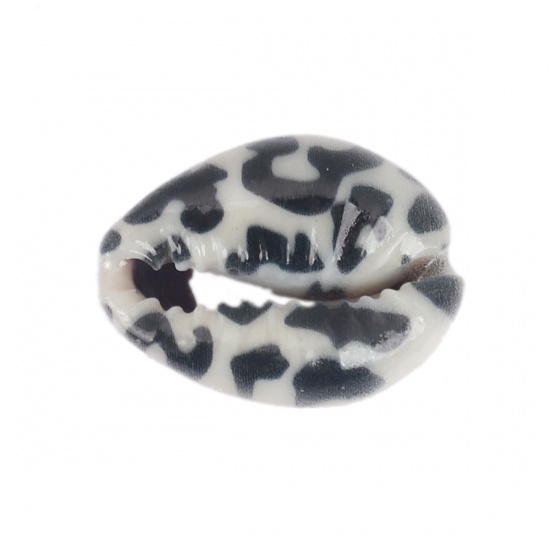 Image de Perles en Coquille Escargot de Mer Noir Léopard 25mm x 17mm-18mm x 14mm, 10 Pcs