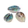 Picture of Natural Shell Loose Beads Conch/ Sea Snail Multicolor Butterfly Pattern About 25mm x 17mm-18mm x 14mm, 10 PCs