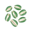 Изображение Бусины из Раковины, Береговичок, Зеленый 25мм x 17мм-18мм x 14мм, 10 ШТ