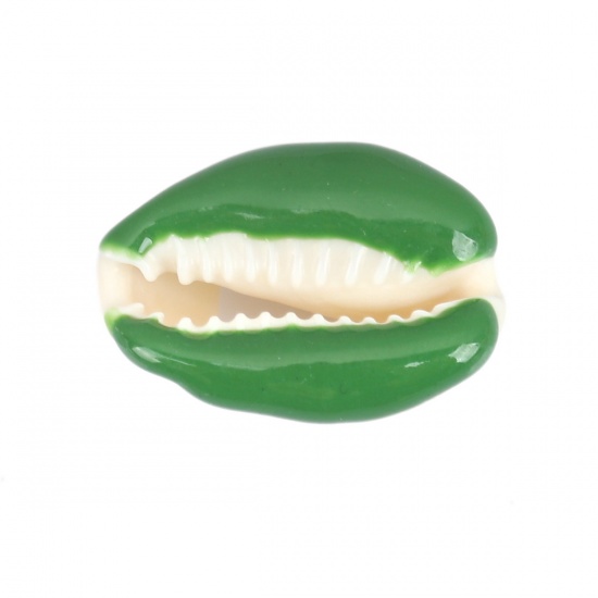 Image de Perles en Coquille Escargot de Mer Vert 25mm x 17mm-18mm x 14mm, 10 Pcs
