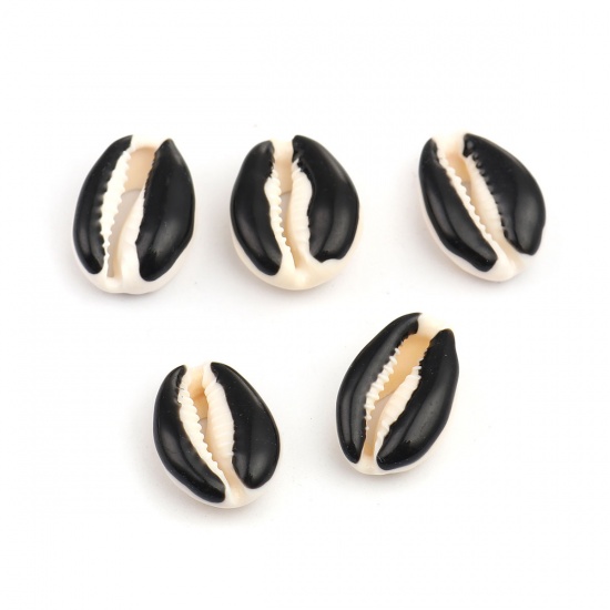 Picture of Natural Shell Loose Beads Conch/ Sea Snail Black About 25mm x 17mm-18mm x 14mm, 10 PCs